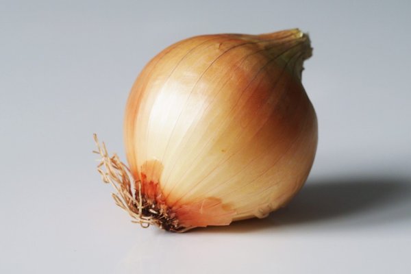 Megaruzxpnew4af onion tor site